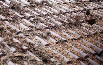 Haughley New Street roof cleaning companies